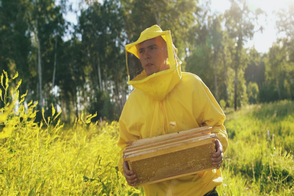 Giełda pszczelarska - tu kupisz i sprzedasz wszystko, co związane z pszczelarstwem